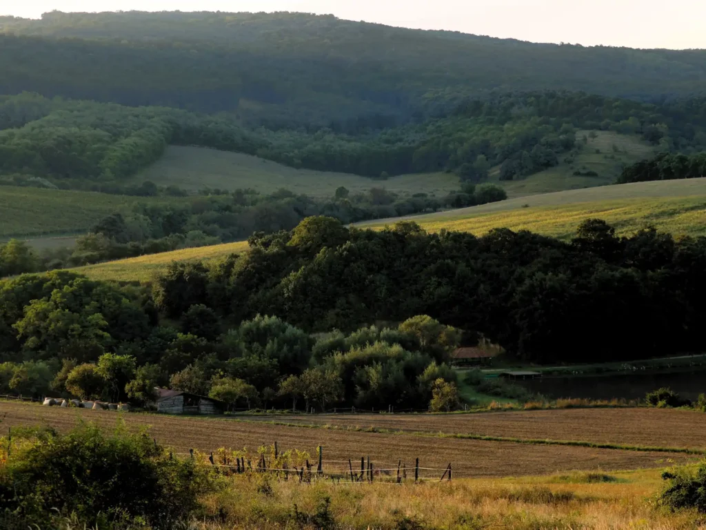 Duna Holiday Home - ház galéria