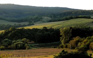 fokep-panorama